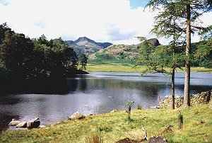 Blea Tarn