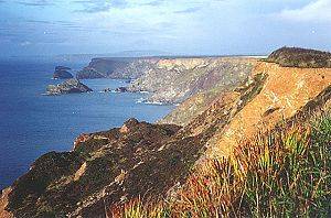 North Cliffs