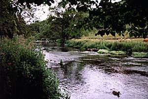 Monsal Dale and River Wye